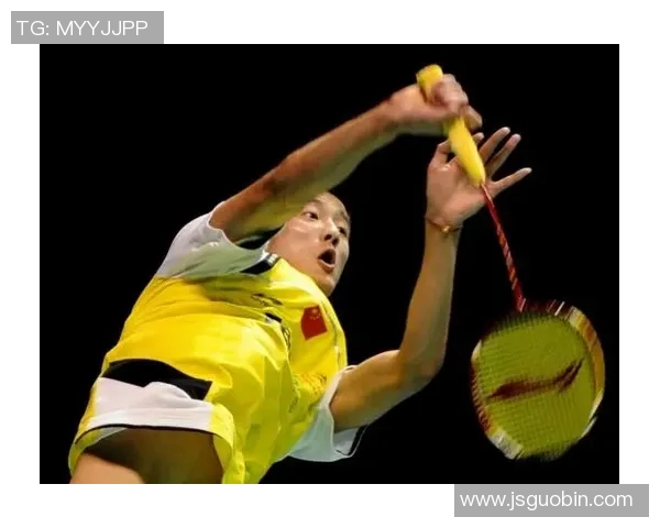 林丹与谌龙2014年巅峰对决揭示羽毛球世界的荣耀与挑战