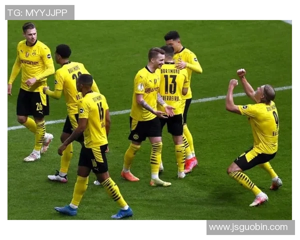 哈兰德:年轻天才如何在绿茵场上书写传奇与未来 哈兰德:年轻天才如何在绿茵场上书写传奇与未来